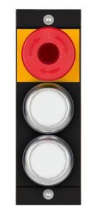 MSM-1-P-CA-BPP-A1-136687 