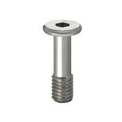 Misumi Cover Bolts/Extra Low Head