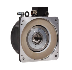Allen-Bradley RDB-B29016-7B72AA RDD Ротационные серводвигатели с прямым приводом