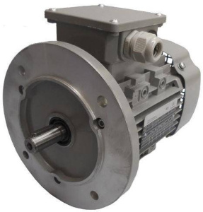 Однофазные электродвигатели AC Motoren FBS 100 L-4
