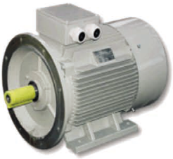 Асинхронные двигатели AC Motoren FCMP 315 LB-6/PHE