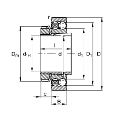 Радиальные сферические шарикоподшипники 1316-K-M-C3 + H316