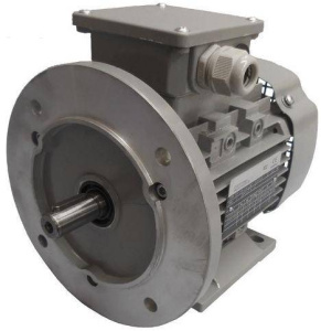 Однофазные электродвигатели AC Motoren FBSP 90 L-4