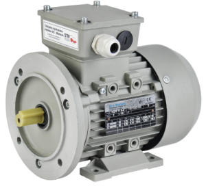 Асинхронные двигатели AC Motoren FCPA 132 S-6/SPE