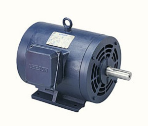 Асинхронный трёхфазный двигатель Leeson G150142-60