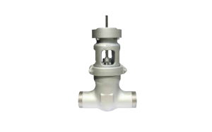 Edward Equiwedge Gate Valve